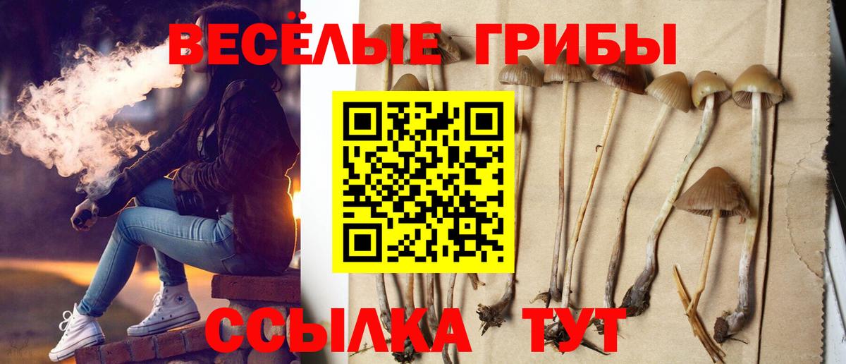 Псилоцибиновые грибы ЛСД Ижевск